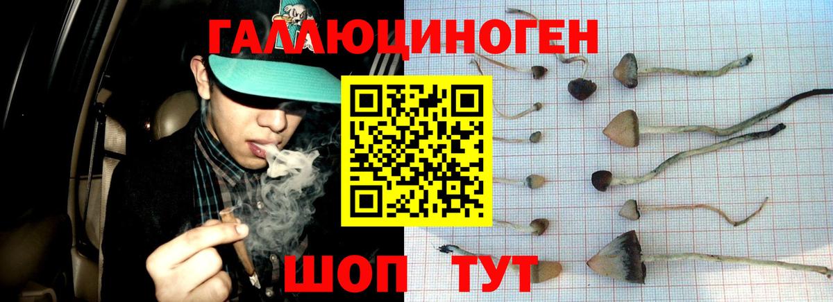 Галлюциногенные грибы Magic Shrooms  Галлюциногенные грибы Psilocybe  Вход с VPN  Рузаевка 